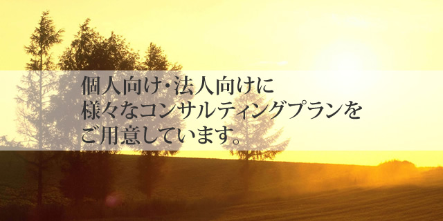 個人向け・法人向けに様々なコンサルティングプランをご用意しています。